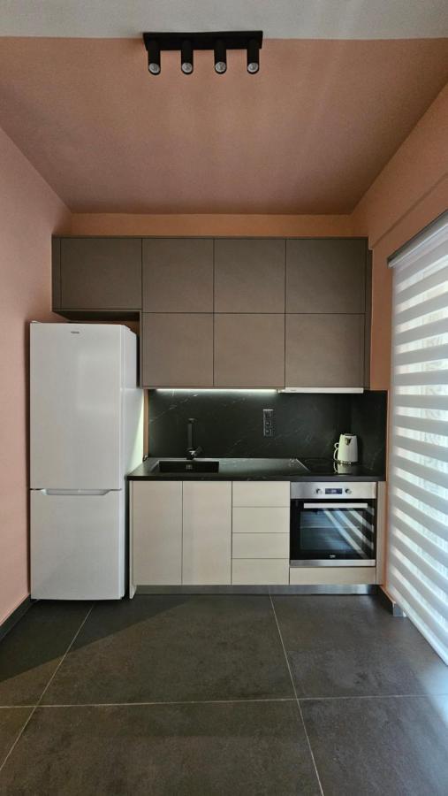 Apartment Thenik_studio